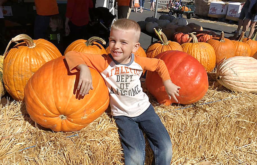 Pumpkin Patch